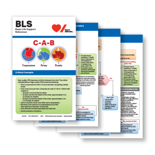 40000237127 Bls Reference Cards