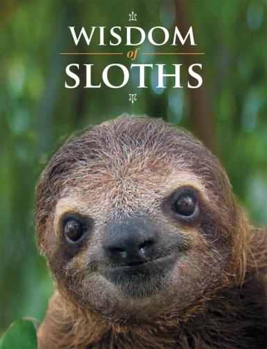 9780228105022 Wisdom Of Sloths