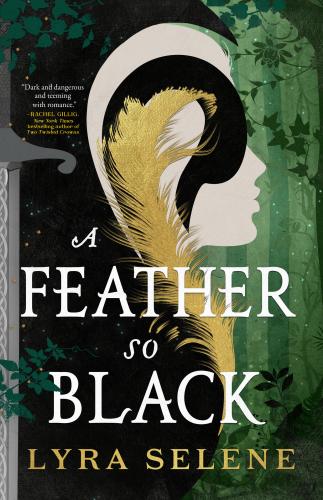 9780316564960 Feather So Black