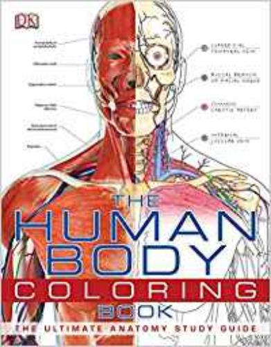 9780756682347 Human Body Coloring Book: The Ultimate Anatomy Study Guide