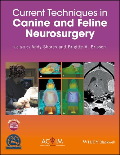 9781118433287 Current Techniques In Canine & Feline Neurosurgery