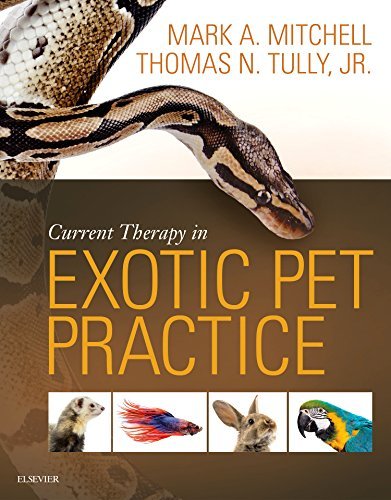 9781455740840 Current Therapy In Exotic Pet Practice