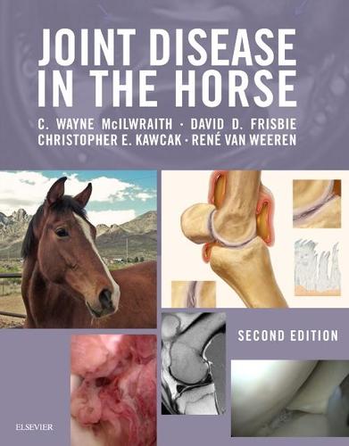 9781455759699 Joint Disease In The Horse