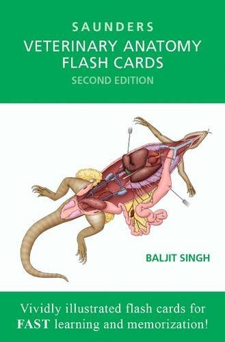 9781455776832 Saunders Veterinary Anatomy Flash Cards