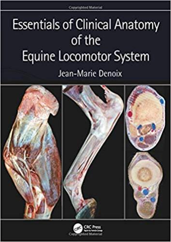 9781498754415 Essentials Of Clinical Anatomy Of The Equine Locomotor...