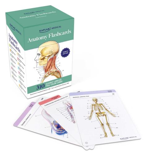 9781506258874 Anatomy Flashcards: 300 Flashcards W/Anatomically Precise...