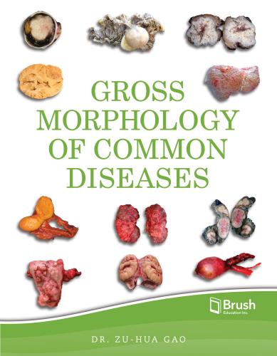 9781550596854 Gross Morphology Of Common Human Diseases