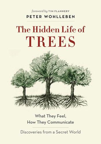 9781771642484 Hidden Life Of Trees: What They Feel, How They Communicate..