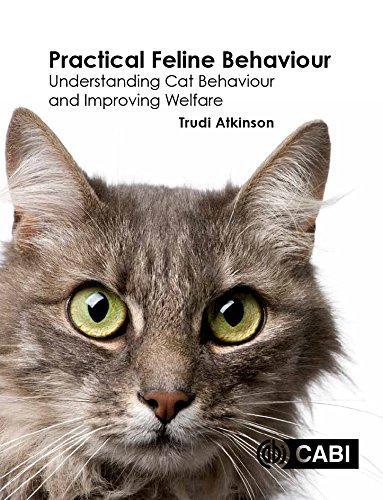 9781780647838 Practical Feline Behaviour: Understanding Cat Behaviour