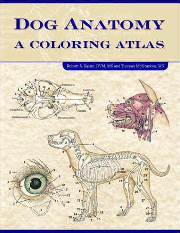 9781893441170 Dog Anatomy:  A Coloring Atlas