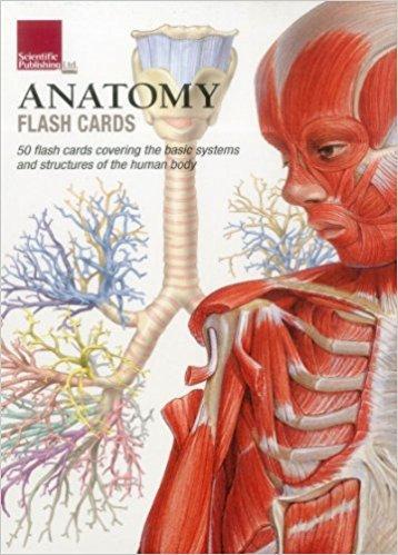 9781935612278 Anatomy Flash Cards