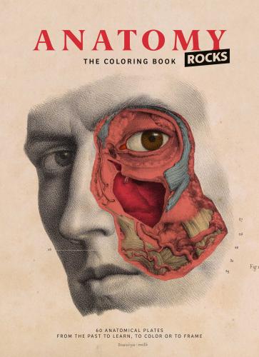 9782374950082 Anatomy Rocks: The Coloring Book
