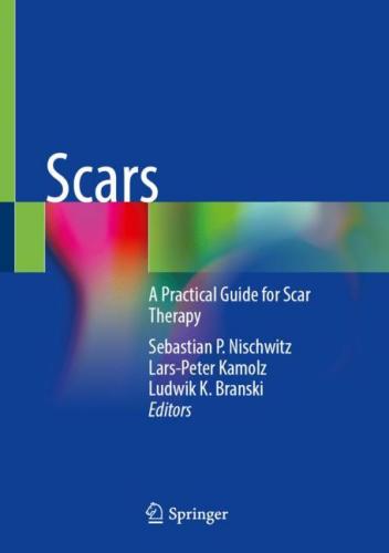 9783031241369 Scars: A Practical Guide For Scar Therapy