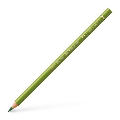 40000213608 Colour Pencil Polychromos 168 Earth Green Yellow*