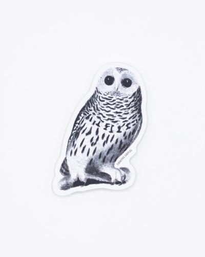 40000236103 Sticker, Owl