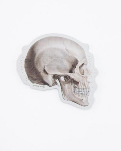 40000236108 Sticker, Side Skull