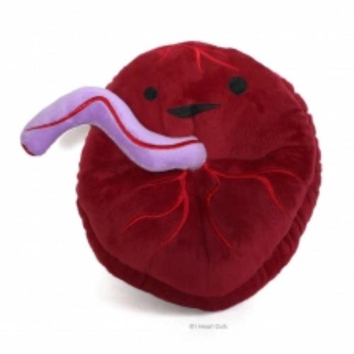 616909593712 Placenta Plush - Baby's First Roommate