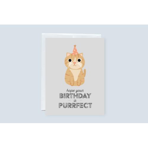 628308200672 Card, Hope Your Bday Is Purrfect