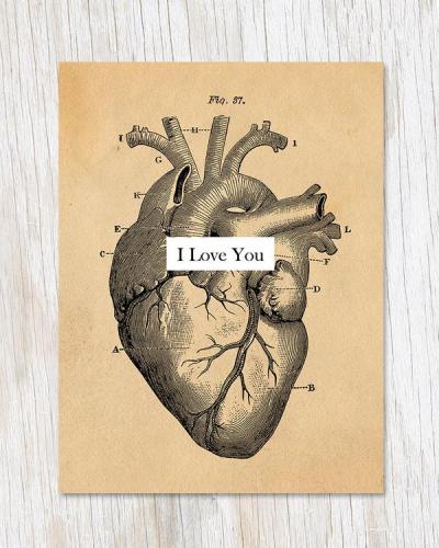 682384953648 Card, I Love You: Anatomical Heart