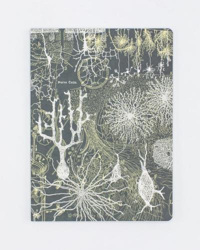 682384954461 Softcover Notebook, Neurons