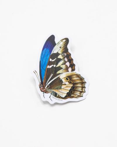 691959134351 Sticker, Butterfly