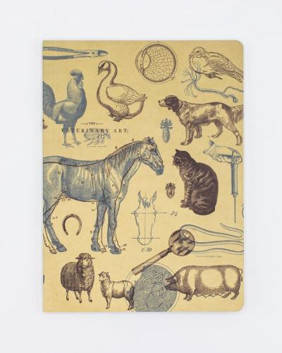 742042864140 Softcover Notebook, Veterinarian