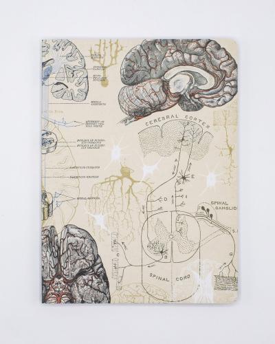 742042882021 Softcover Notebook, Brain Plate