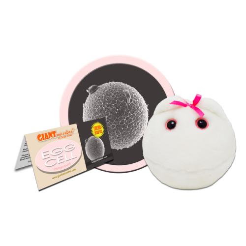 84686900961 Giant Microbes, Egg Cell