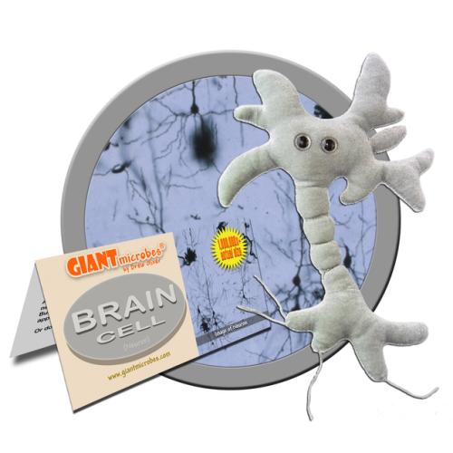 87466500435 Giant Microbes, Brain Cell