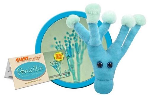 874665005294 Giant Microbes, Penicillin