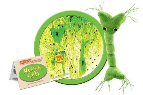 874665009698 Giant Microbes, Nerve Cell