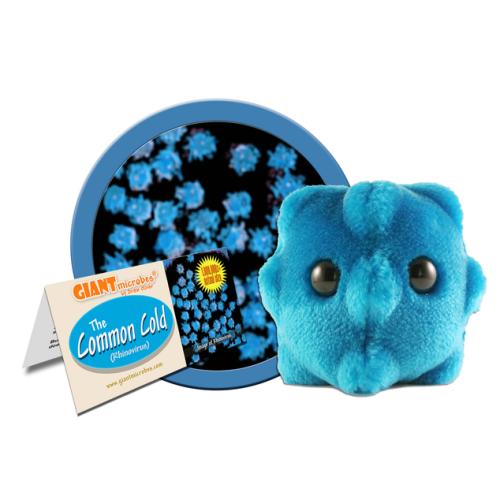 89024200001 Giant Microbes, The Common Cold
