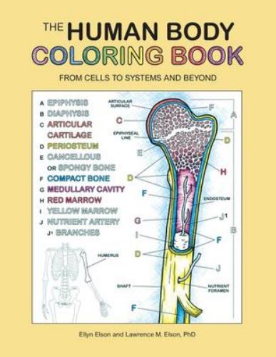 9780063009752 Human Body Coloring Book: From Cells To Systems & Beyond