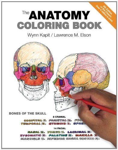 9780321832016 Anatomy Coloring Book