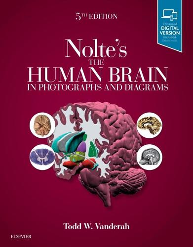 9780323598163 Human Brain In Photographs & Diagrams