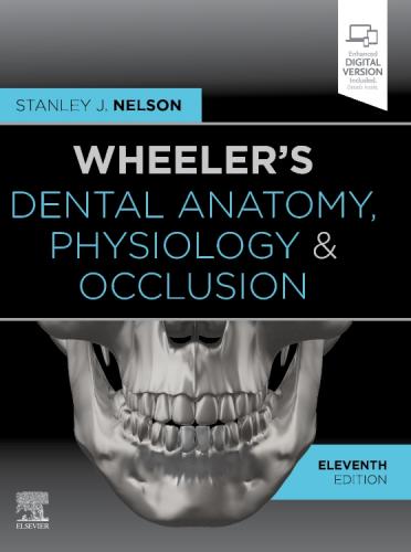 9780323638784 Wheeler's Dental Anatomy, Physiology & Occlusion