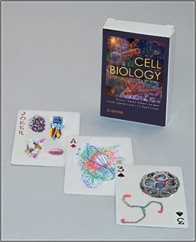 9780323655583 Netter's Cell Biology Playing Cards