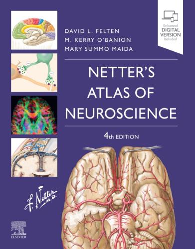 9780323756549 Netter's Atlas Of Neuroscience