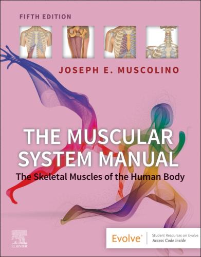 9780323812757 Muscular System Manual: The Skeletal Muscles Of The Human...