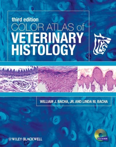 9780470958513 Color Atlas Of Veterinary Histology
