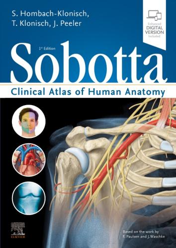 9780702052736 Sobotta Clinical Atlas Of Human Anatomy , One Vol. English
