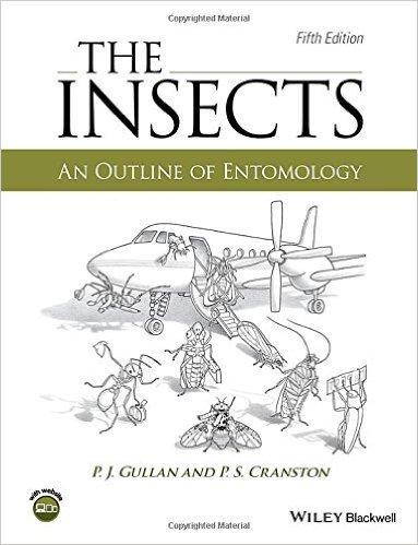 Insects: An Outline Of Entomology