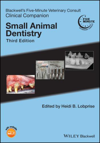 9781119584339 Blackwell's Five-Minute Veterinary...Small Animal Dentistry