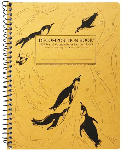 9781412416160 Decomposition Book, King Penguins