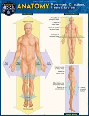 9781423248026 Anatomy-Directions, Planes, Movements & Regions (Final Sale)