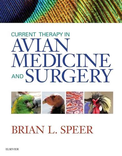 9781455746712 Current Therapy In Avian Medicine & Surgery