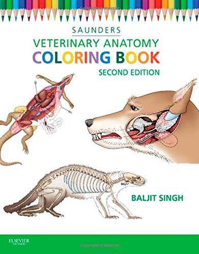 9781455776849 Saunders Veterinary Anatomy Coloring Book