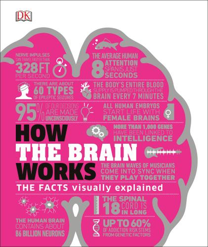 9781465489791 How The Brain Works: The Facts Visually Explained