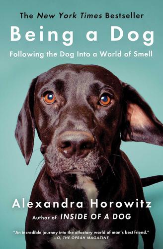 9781476796024 Being A Dog: Following The Dog Into A World Of Smell