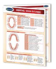 9781554310159 Dental: Upper & Lower Quick Reference Guide Binder Size